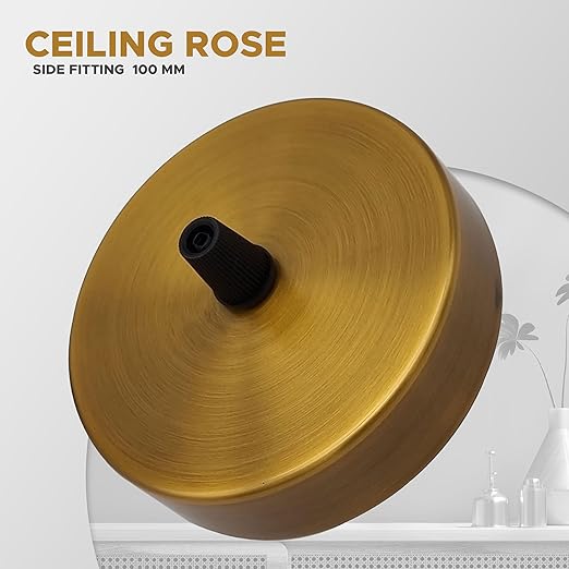 Yellow Brass Ceiling Rose Single Point Drop~3094-3